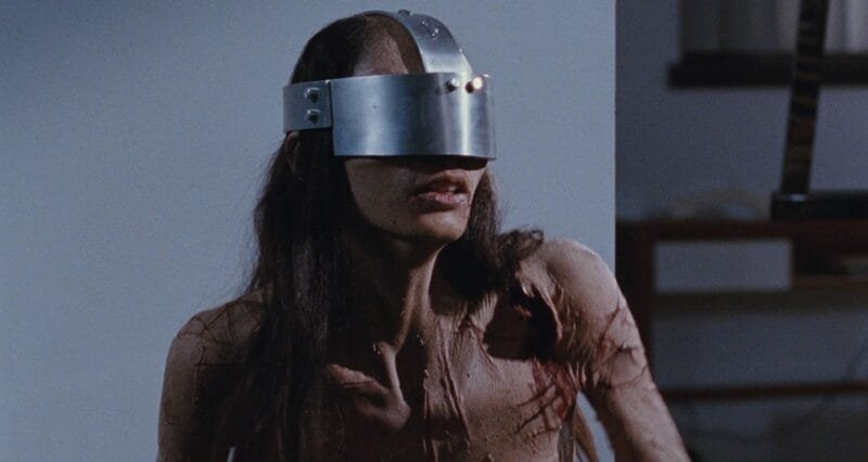 Consumption Without Revelation: Emptiness and Appetite in Martyrs (2008)